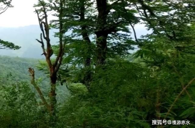 大庆肇源警方积极开展反诈宣传活动