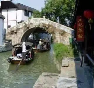 植物大战僵尸16